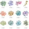 Paper House Productions Die Cut Sticker Pack – Succulents