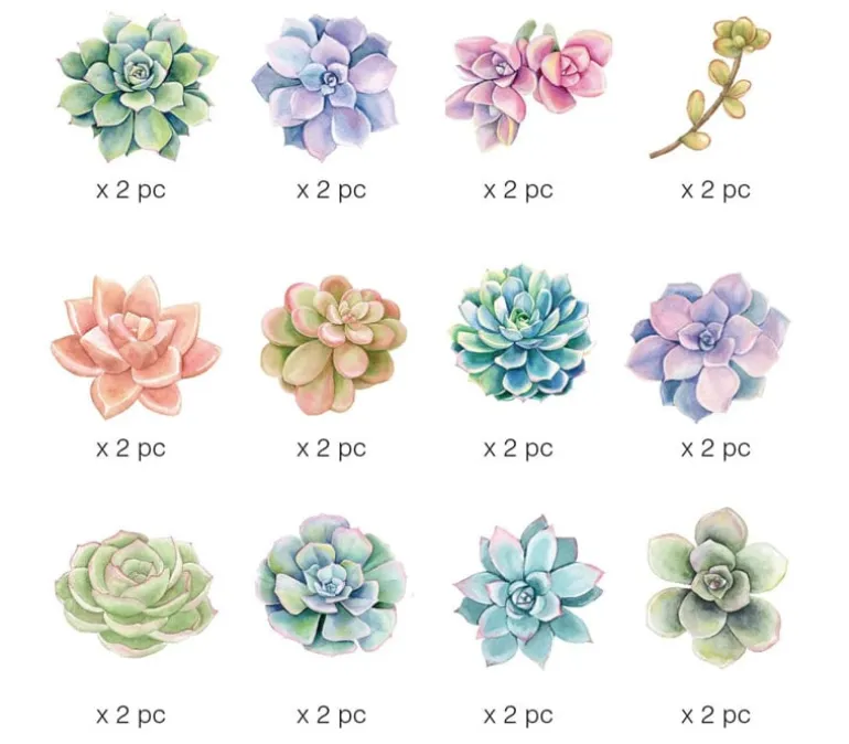 Paper House Productions Die Cut Sticker Pack – Succulents
