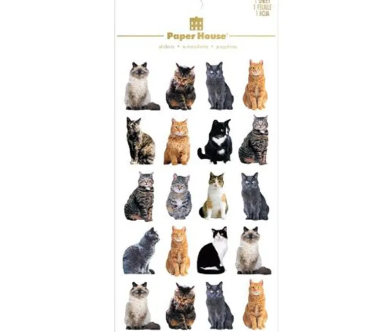 Paper House Scrapbook Stickers – Mixed Cats 3D