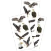 Paper House Stickers – Eagles