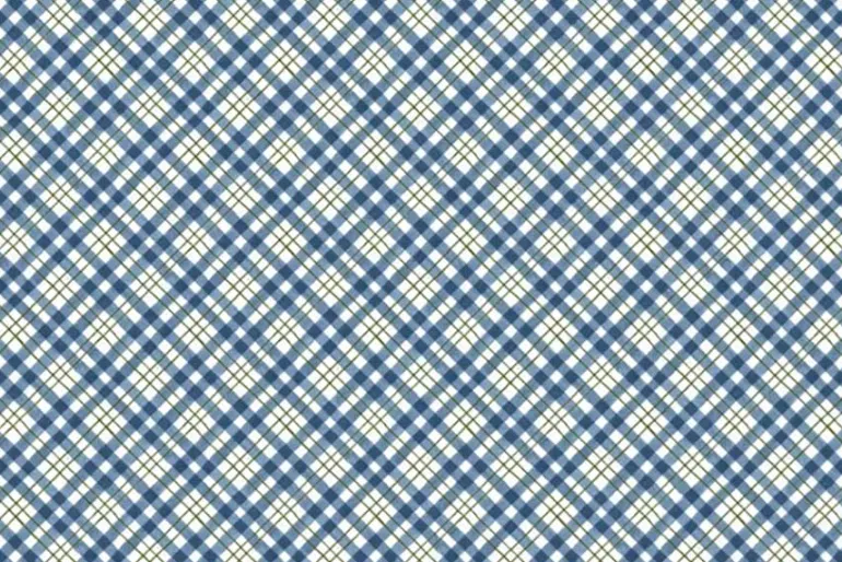 Patchwork Picnic Bias Plaid Blue