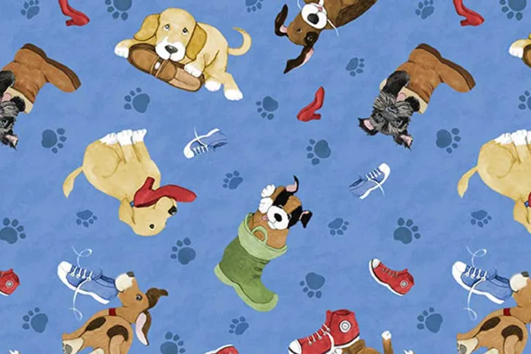 Paws at Play Shoe Toss on Dark Blue