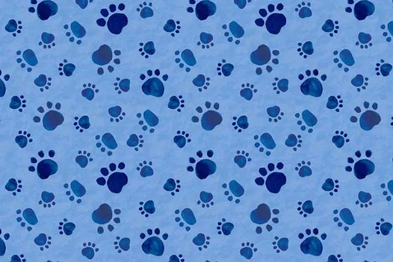 Paws at Play Shoe Toss on Dark Blue