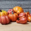 12pc. Pumpkin & Gourd Filler
