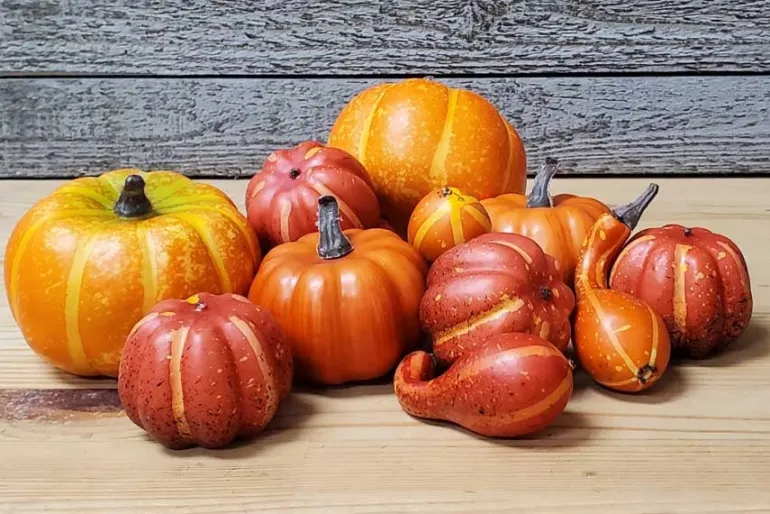 12pc. Pumpkin & Gourd Filler