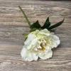 13.5″ Peony Stem, Cream