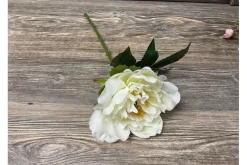 13.5″ Peony Stem, Cream