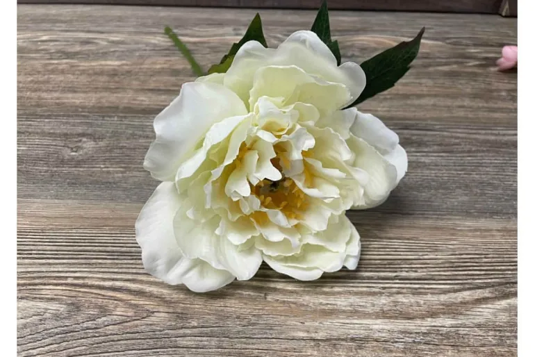 13.5″ Peony Stem, Cream