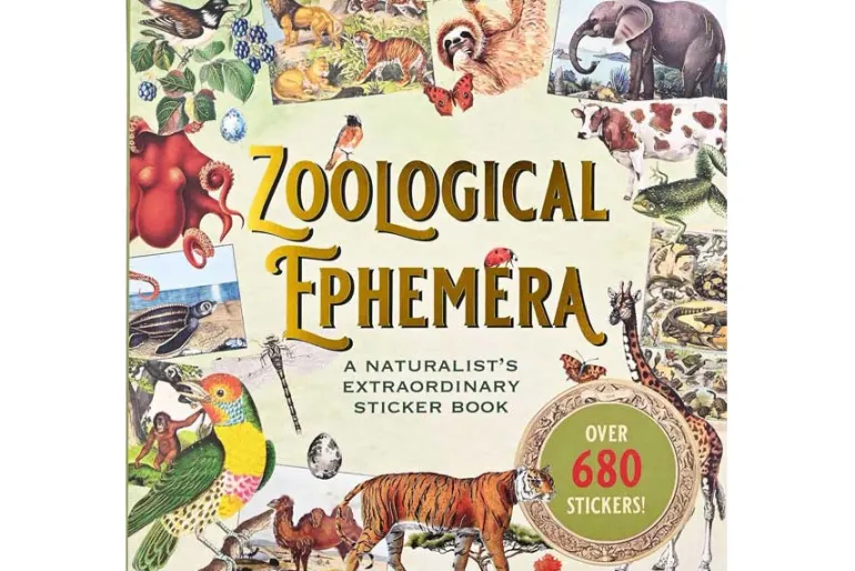 Peter Pauper Sticker Book – Celestial Wonders (over 900 stickers!)