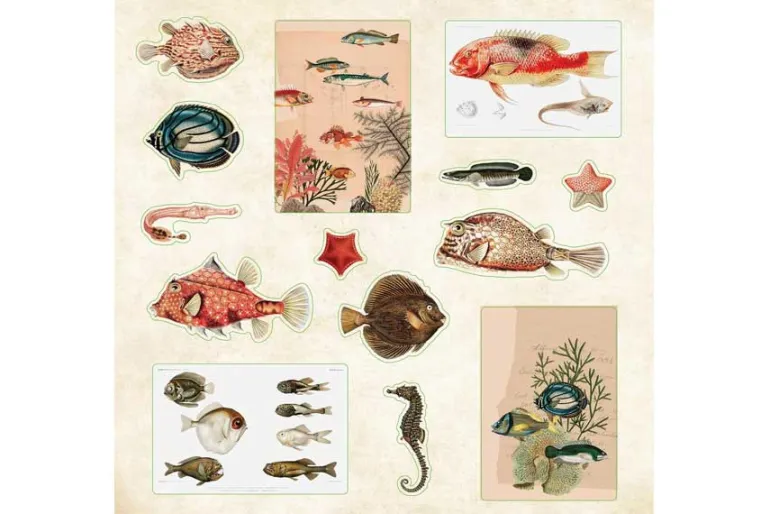 Peter Pauper Sticker Book – Poseidon’s Kingdom (over 700 stickers!)