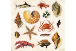 Peter Pauper Sticker Book – The Sticker Book of Curiosities (over 750 stickers!)
