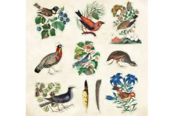 Peter Pauper Sticker Book – Zoological Ephemera (over 680 stickers!)