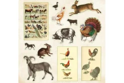 Peter Pauper Sticker Book – Zoological Ephemera (over 680 stickers!)