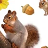 Photo Real Stickers – Backyard Animals