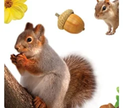 Photo Real Stickers – Backyard Animals