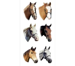 Photo Real Stickers – Horses