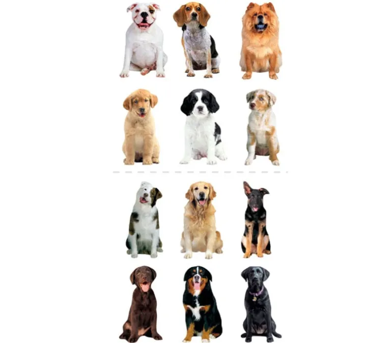 Photo Real Stickers – Mini Mixed Dogs