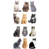 Photo Real Stickers – Mini Mixed Cats