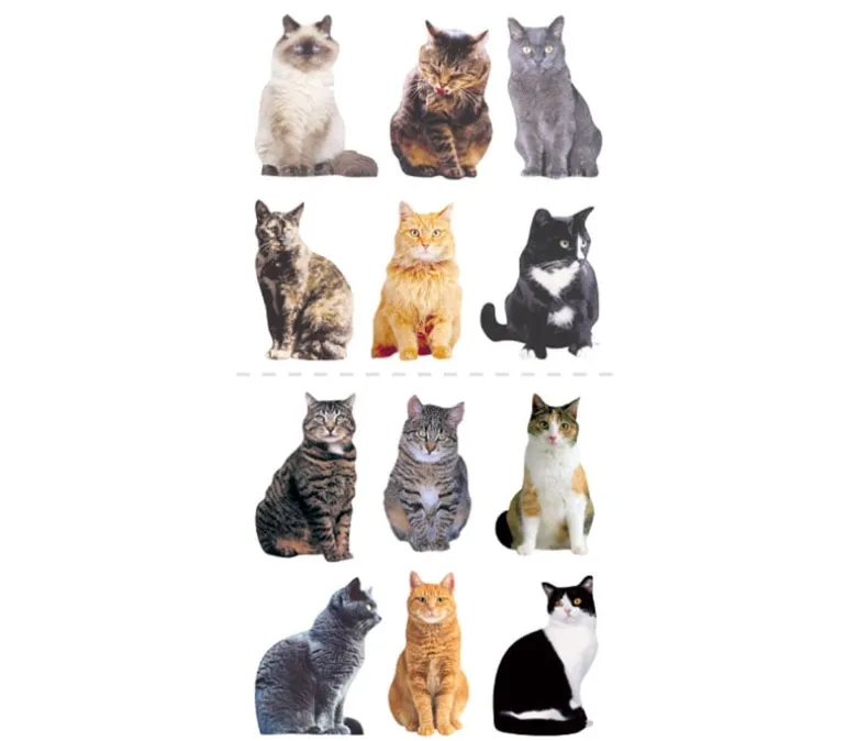 Photo Real Stickers – Mini Mixed Cats