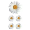 Photo Real Stickers – Oxeye Daisy