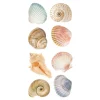 Photo Real Stickers – Sea Shell