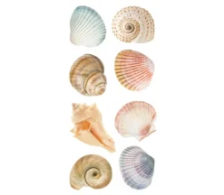 Photo Real Stickers – Sea Shell