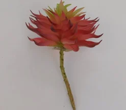 Pick – Succulent Long Leaf – 7-inch