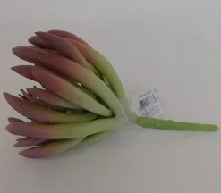 Pick – Succulent Long Leaf – 7-inch