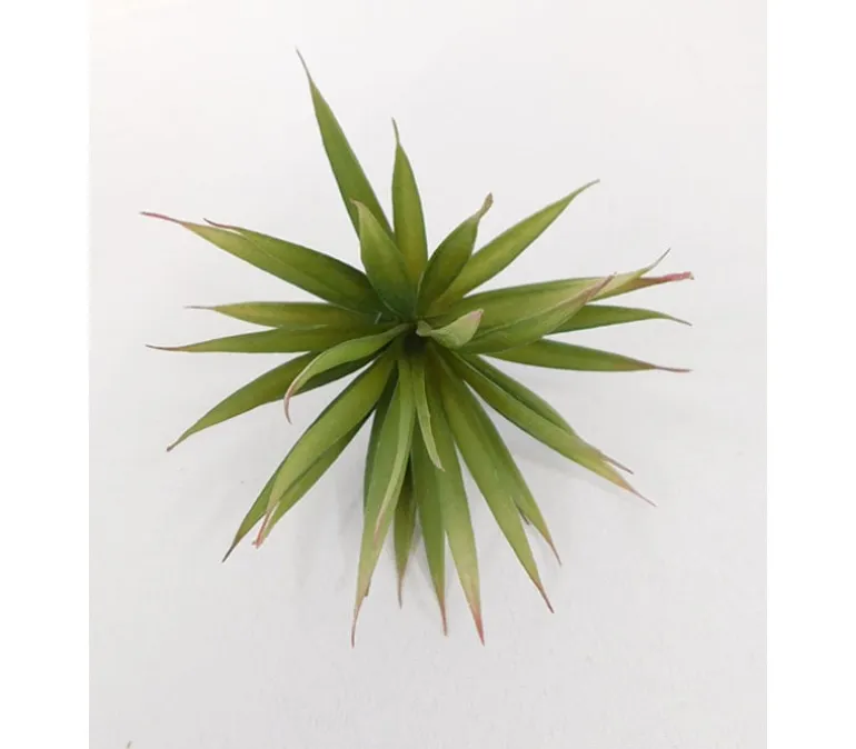 Pick – Tillandsia – 8-inch