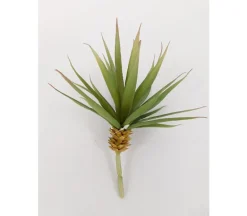 Pick – Tillandsia – 8-inch