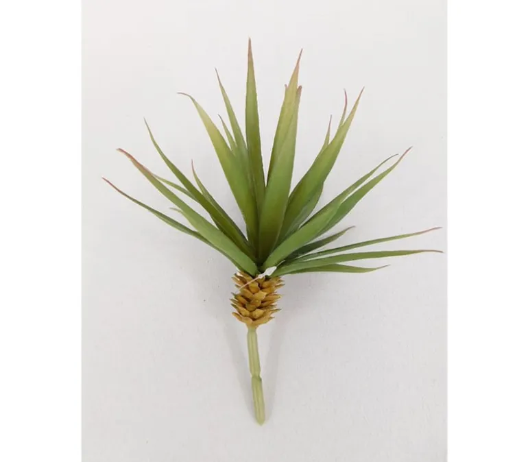 Pick – Tillandsia – 8-inch