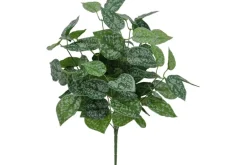 21″ Piggyback Plant Bush