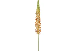 28.25″ Pincushion Flower Spray, Helio Purple