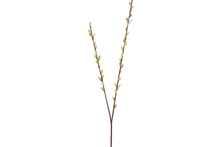 28.25″ Pincushion Flower Spray, Helio Purple