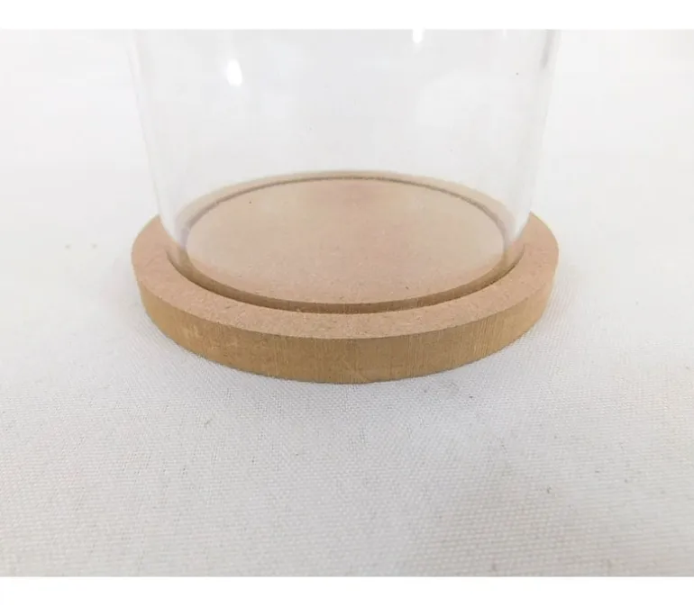 Plastic Dome with Wooden Base