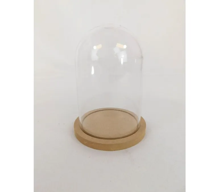 Plastic Dome with Wooden Base