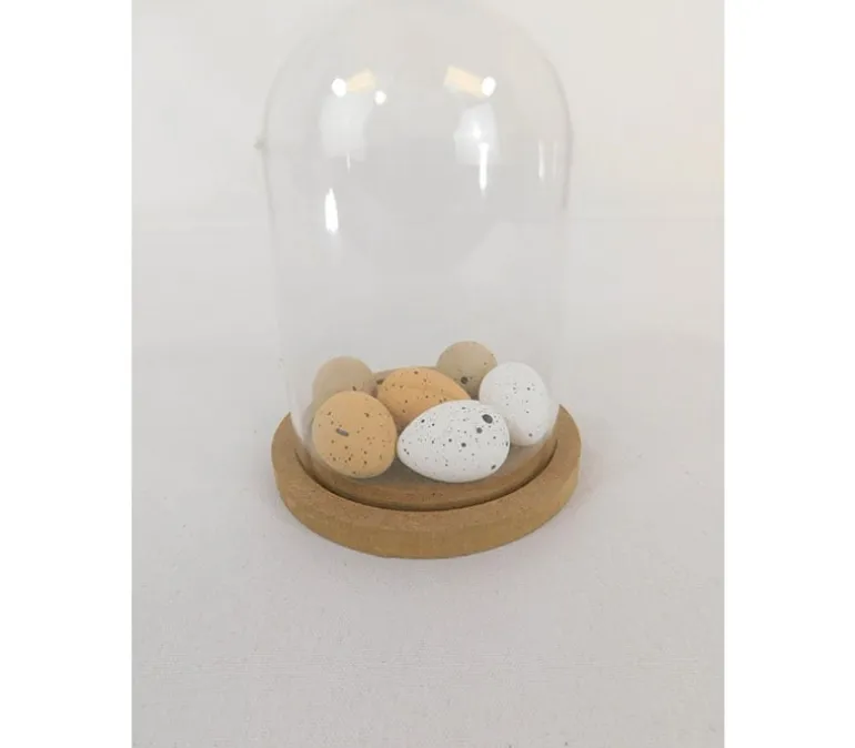 Plastic Dome with Wooden Base