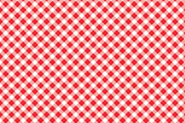 Playtime Flannel Bias Gingham in Red and White