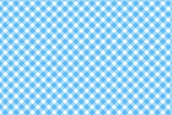 Playtime Flannel Bias Gingham in Blue and White