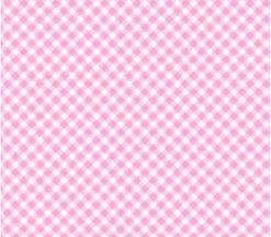 Playtime Flannel Bias Gingham in Pink and White