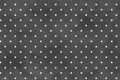 Playtime Flannel Tiny Dot on Black