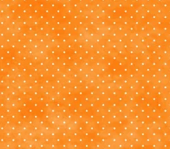 Playtime Flannel Tiny Dot On Orange