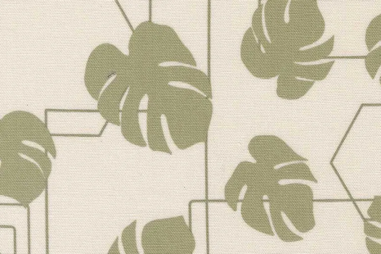 Potted Fiddle Leaf on Cream