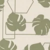 Potted Monstera Geo on Ash