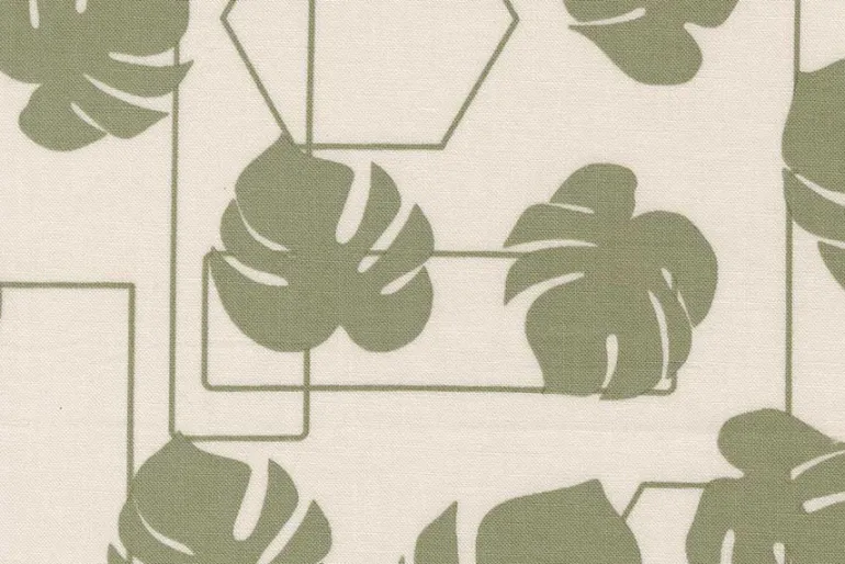 Potted Monstera Geo on Ash