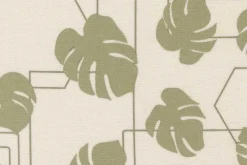 Potted Monstera Geo on Stone