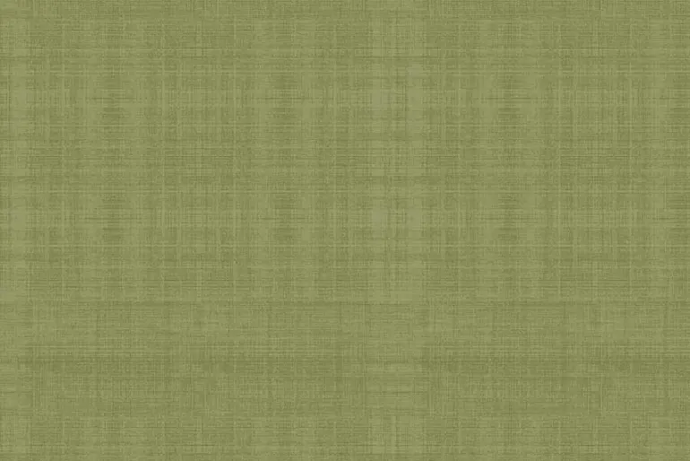 Prairie Chicks Chambray Green