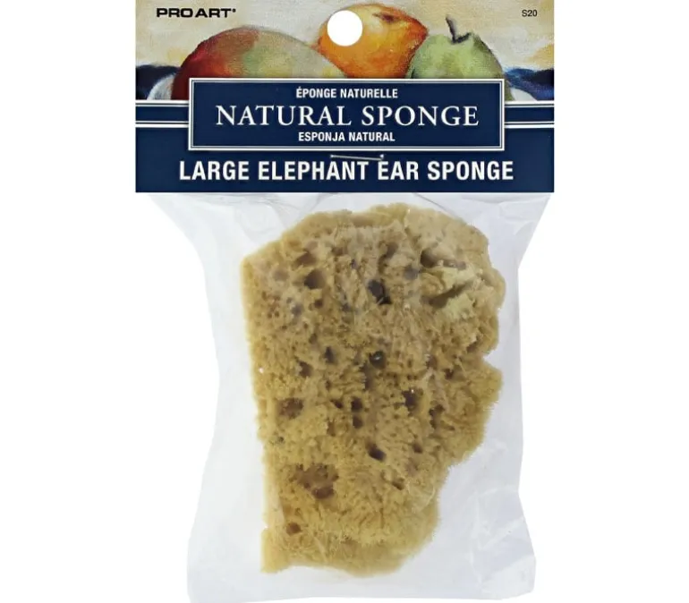 Pro Art Sponge – Natural Elephant Ear – 3-4-inch Large