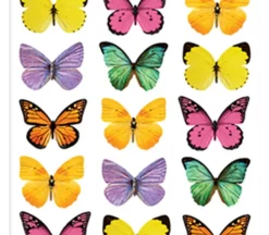 Puffy Stickers – Butterfly
