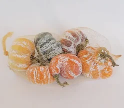 Pumpkin Set – 6 Piece